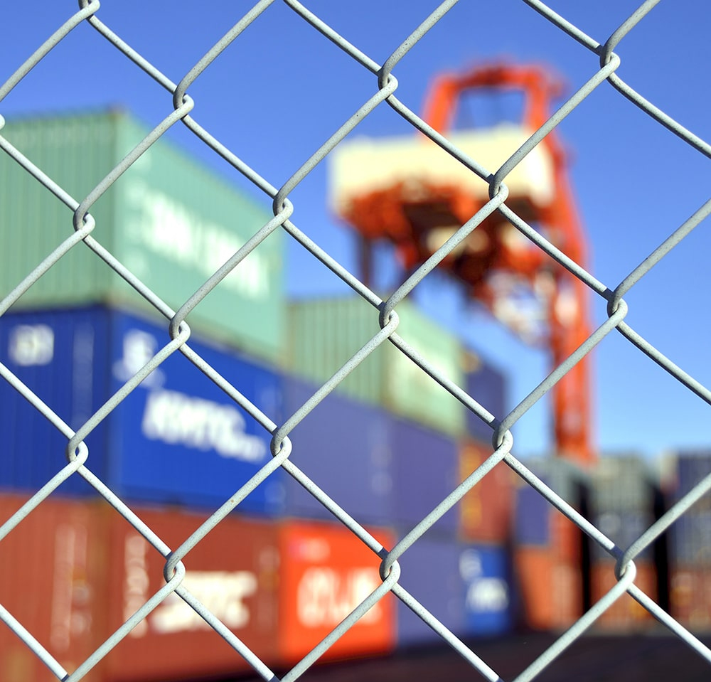 Customs Services